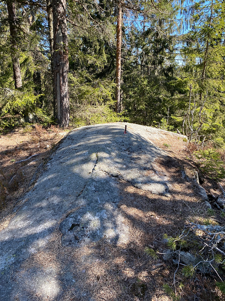 Bolten på Tonekollen
