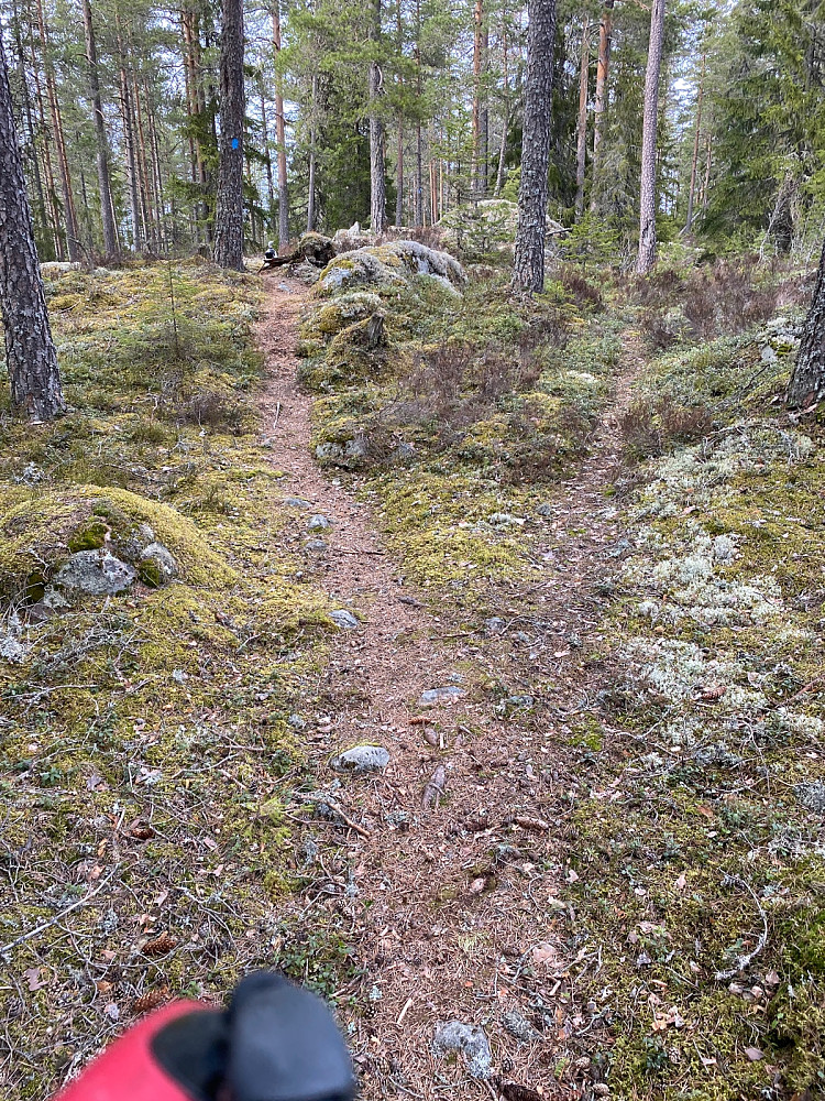 Holdti til høyre i stikrysset her og ikke blåmerka sti. Trodde jeg...