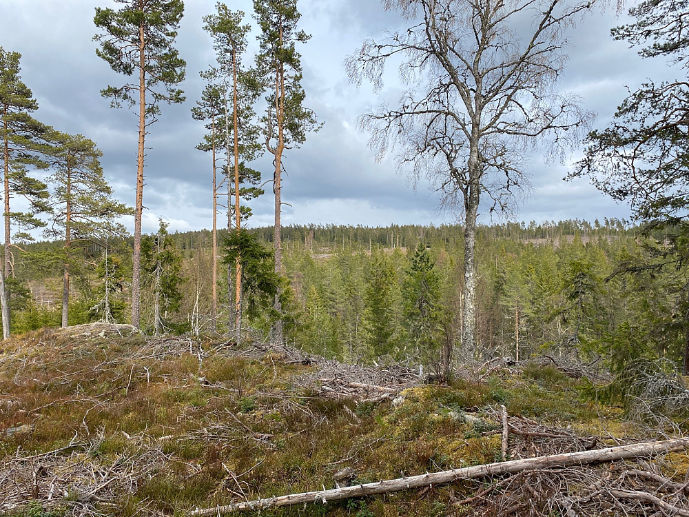 Mot Almåsen tatt litt forbi toppen