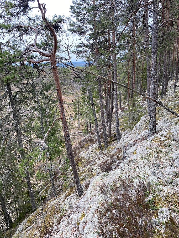 Bratt ned fra toppen nedover Gråtendalen