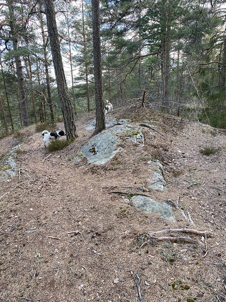Nordre Lutåsen