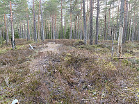 Harex_20210506_60942b99a957f.jpg