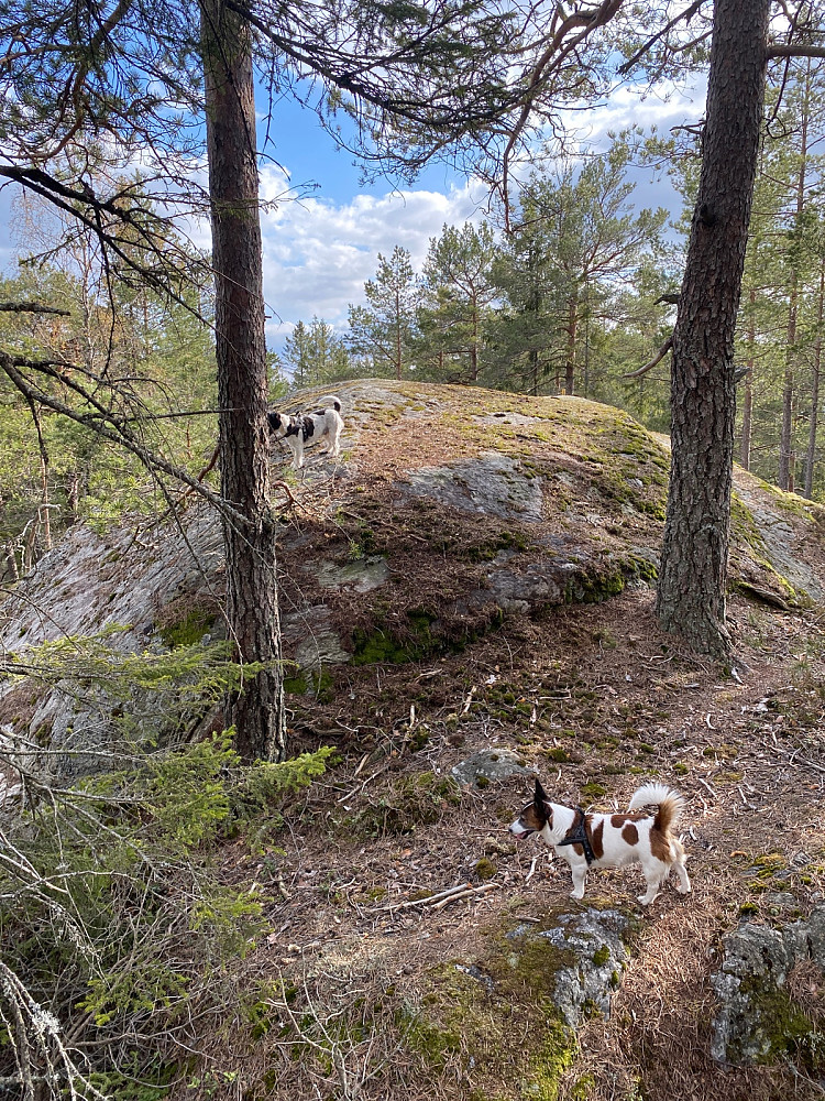 Søndre Lutåsen