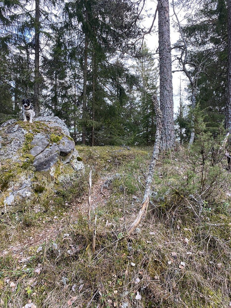 Kroktjernkollen