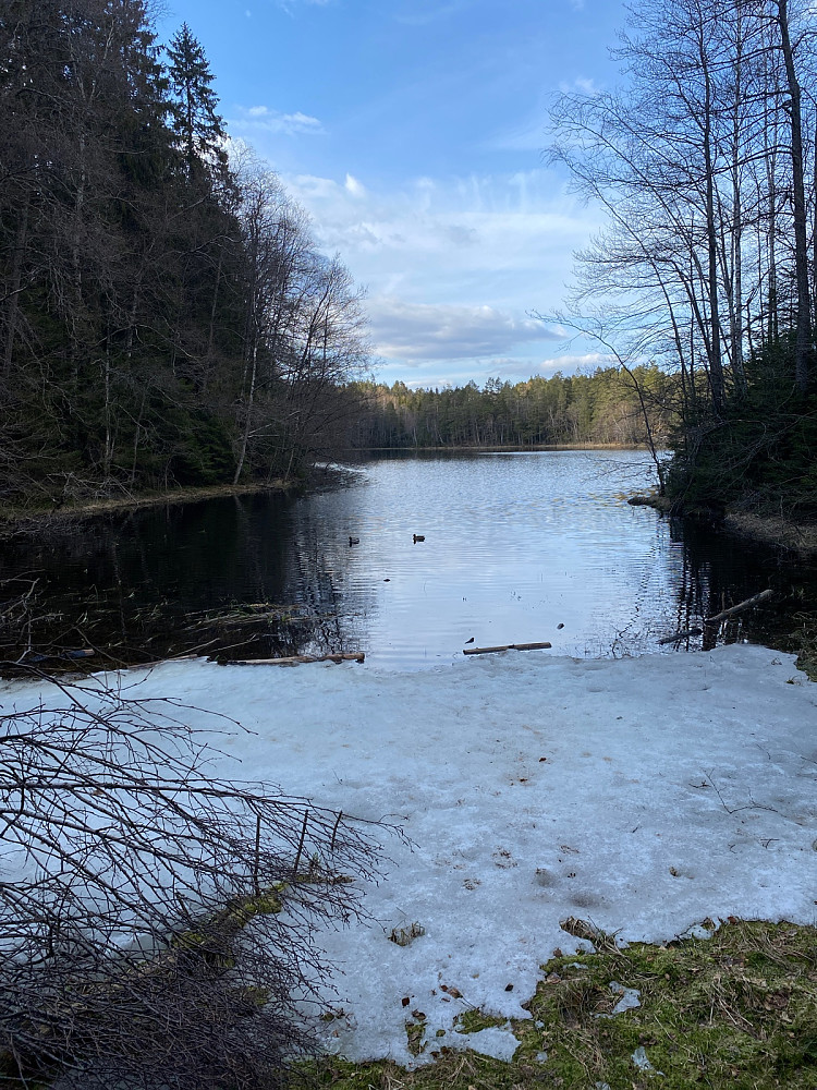 Kroktjern sørenden