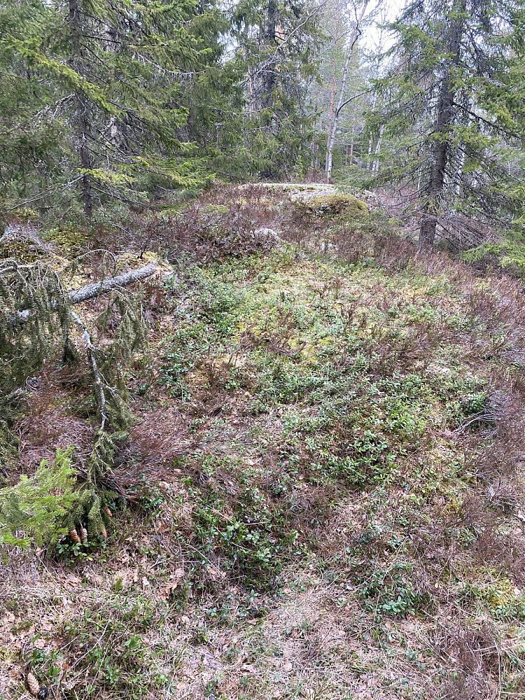 Bjørnåsen