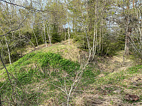Harex_20210514_609eaf0a7969d.jpg
