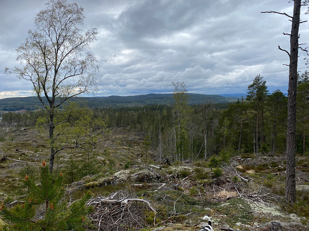 Oppskot fra Svinåsen