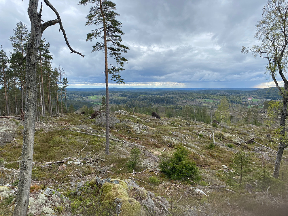 Sørover fra  Svinåsen