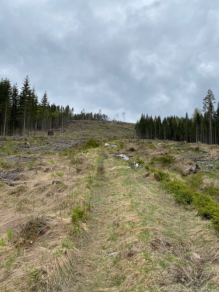 Satt igjen sykkelen her. Toppen ligger bak til høyre for  høyden rett frem.
