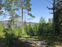 Astri_20180530_5b0ebf39a3113.jpg