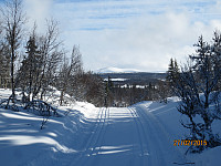 Veslefjell i det fjerne