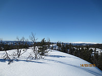 Toppryggen på Skinnerlifjell