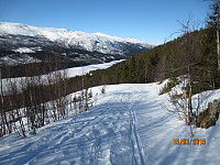Fulgte løypa opp skogen