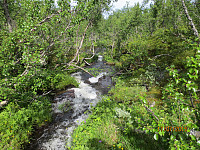 Idyll med mye vann i bekken