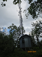 Masta på toppen av Torsæterkampen