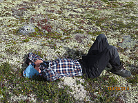 Pause i lyngen
