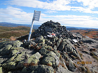 Toppvarden