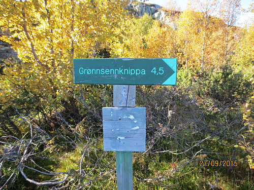 Skilting mot toppen.