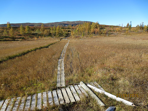 Langs ruta fra Bjødnhøvd.