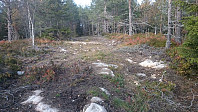 Skiløypetrase opp mot Dalasjøhøgda