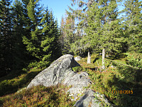 Høyeste punkt på Kleivene