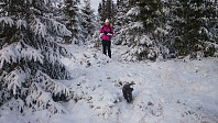 Uavhengig av toppen koste Trixie seg med å løpe i snøen.