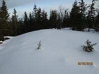 Gamle skispor på toppen