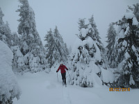 Mye snø og tungt å gå i skogen