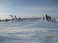 Toppen av Nysæterhøgda mot Nevelfjell