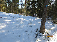 Ikke mange som hadde gått stien mot Østre Vealøs etter siste snøfall