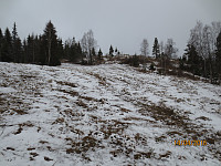 Våt nysnø på jordet