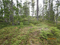 Toppen av Persvehaugen