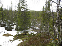 Etter mye tung sikksakking rundt myr, vann og snøflekker, så jeg endelig toppen