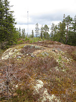 Toppen på Skjukuåsen