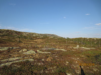 Etter en bratt start opp fra koia kom jeg raskt opp på fjellet, hvor det virket lettgått