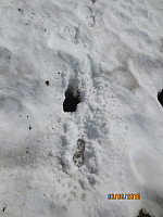 På tur ned fra Storrustefjellet klarte jeg å tråkke igjennom en av snøfonnene, og fylle skoen med vann
