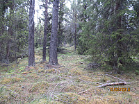 Startet med å følge diverse dyretråkk opp mot ryggen av fjellet