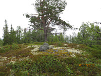 Toppen