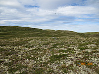 Oppe på fjellet var det mye lettere å gå