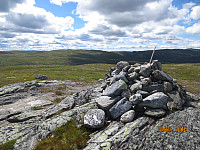 Toppvarden