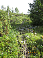 Etter å ha gått ryggen ned fra Olavsvarden og krysset et skogsparti kom jeg inn på en sti opp mot sætra