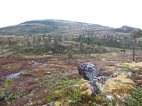 Endelig oppe av skogen og da venter regnvåte myrer