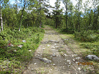 Det var helt greit å sykle et stykke opp skogen