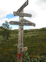 Skilt i stikryss ved tregrensa