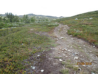 Da var jeg ute av skogen og fikk se fjellet