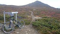 Fotopause ved det første stikrysset