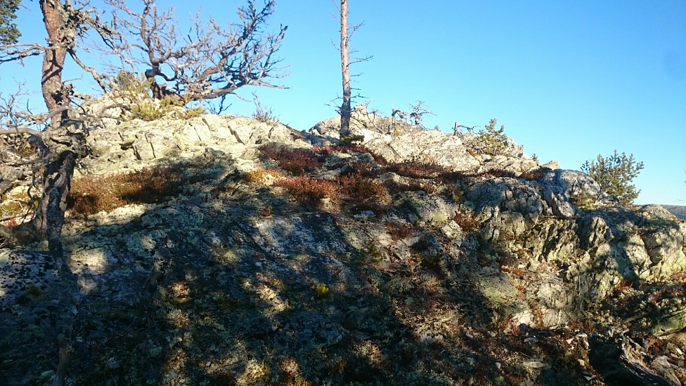 Her fant jeg en meget markant fortopp til Bjørsjøkletten