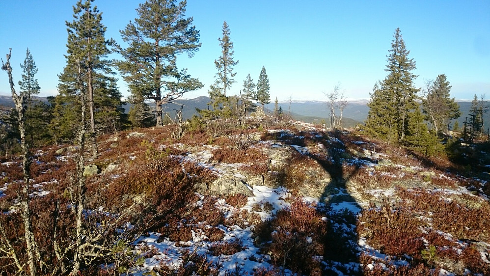 Toppen av Bjørsjøåsen