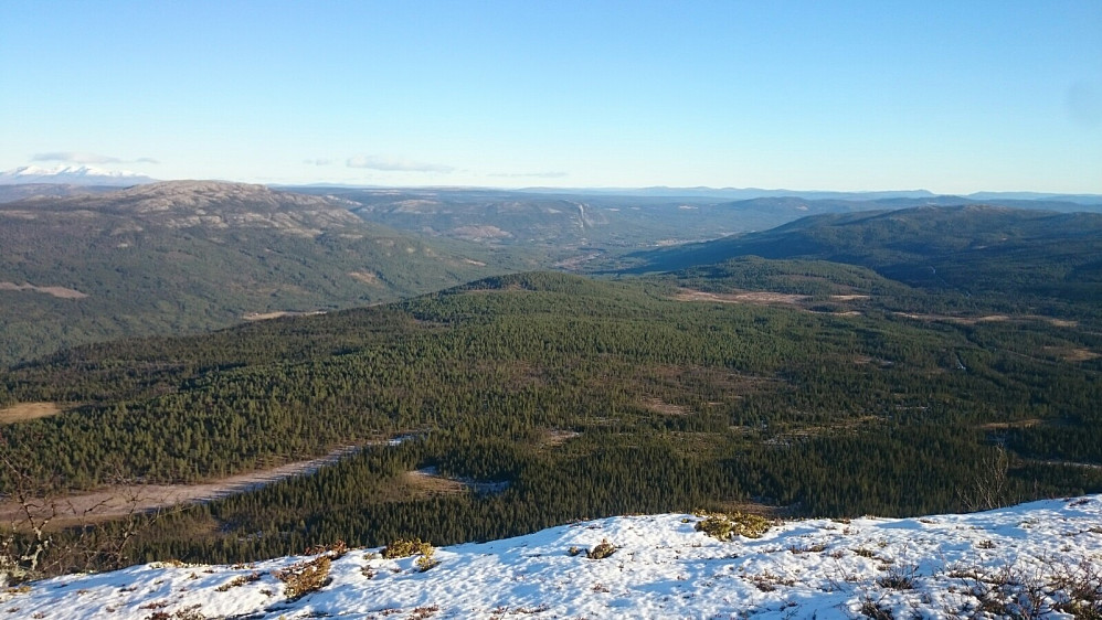 Utsikt fra toppen av Gjengangeren og ned mot Østerdalen